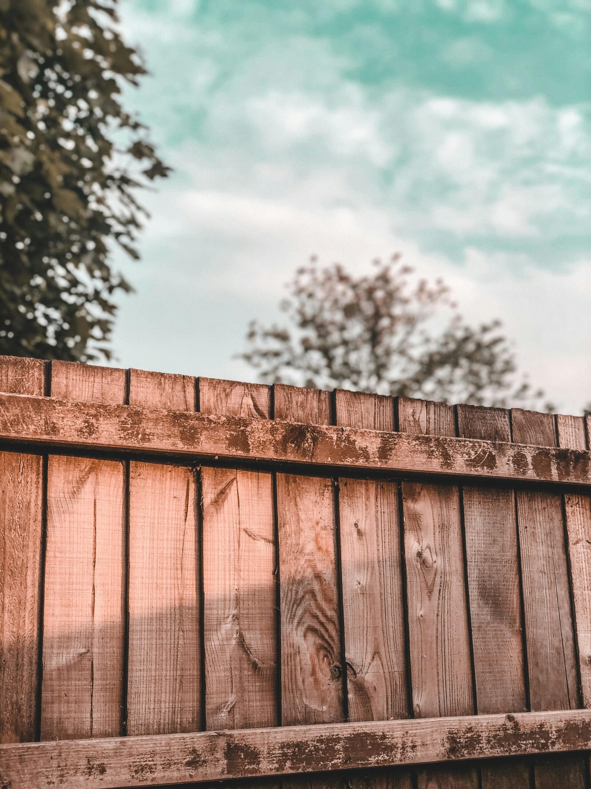 zara-mir-nsmsPTbr52c-unsplash